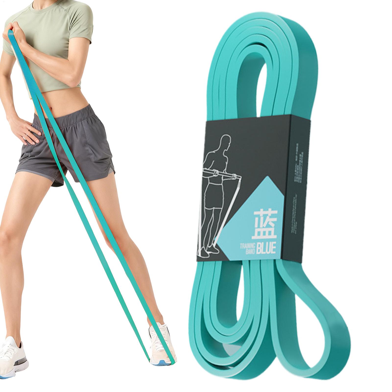 Workout Resistance Bands Elast - Milanaise Mesh Band のレビューと価格
